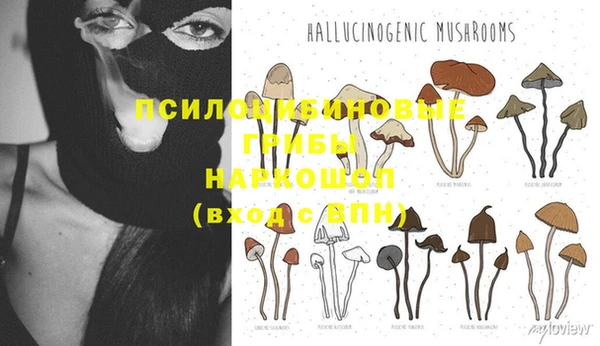 spice Абдулино