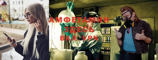 шишки Наволоки